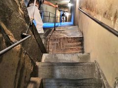 -圣母百花大教堂穹顶