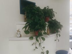 -相约芊艺护肤造型