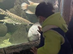 -苏州海洋馆