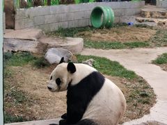 -南昌动物园