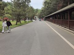 -日照海滨国家森林公园