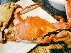 -渔民船说·北塘海鲜·天津菜·海肠捞饭(北塘古镇店)