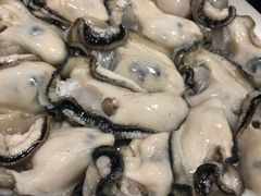 -濠轩阁特色生蚝火锅(水湾路店)