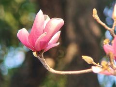 -烈士陵园(地铁站)