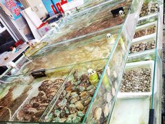 -南戴河海滨市场