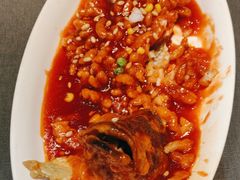 松鼠厥鱼-丰收日(五角场店)