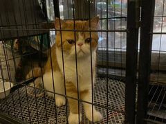 -臻鲜燕海鲜融合餐厅(金陵style店)