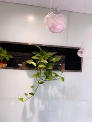 -木北造型
