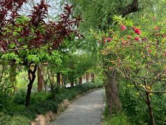 -南汇桃花村