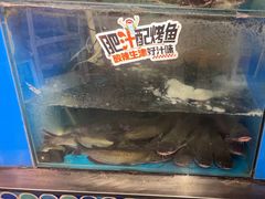-鱼酷活鱼烤鱼(梅江印象城店)