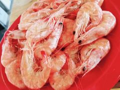 -好伦哥(温都水城店)