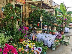 -金陵花卉交易市场