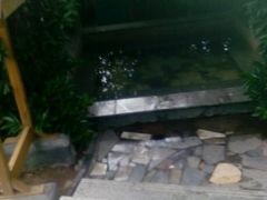 -灵山莲花公园-温泉度假区