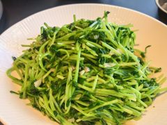 -纯阳•六两酒馆