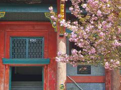 -四川大学(华西校区)