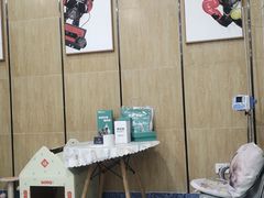 -瑞派名望志远动物医院·猫科·內科·异宠专科(直港大道店)