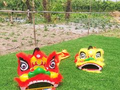 -樂桃源奉贤黄桃种植采摘基地