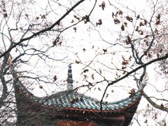 -岳麓山风景名胜区