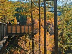 -苏木山森林公园