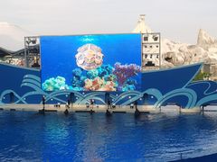 -上海海昌海洋公园