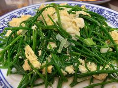 沙葱炒蛋-范记靖远羊羔肉(博物馆店)