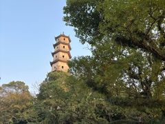 -江心屿景区