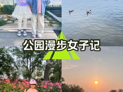 -天津水上公园