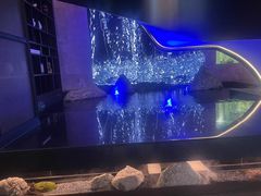 -海派悦庭·海胆烧麦·新融合菜(凯德广场店)