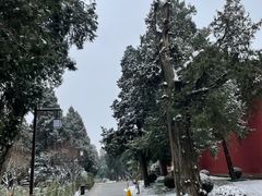 -北京市劳动人民文化宫(太庙)