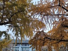 -四川大学(华西校区)