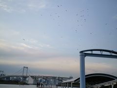 -台场海滨公园船码头