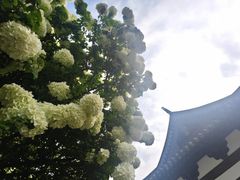 -常熟方塔园
