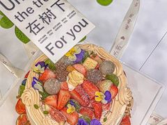 -Dark Horse·黑马蛋糕·低脂·低糖淡奶(金匙望湖大厦店)