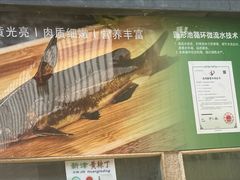 -胖大姐黄辣丁鱼庄(新津店)