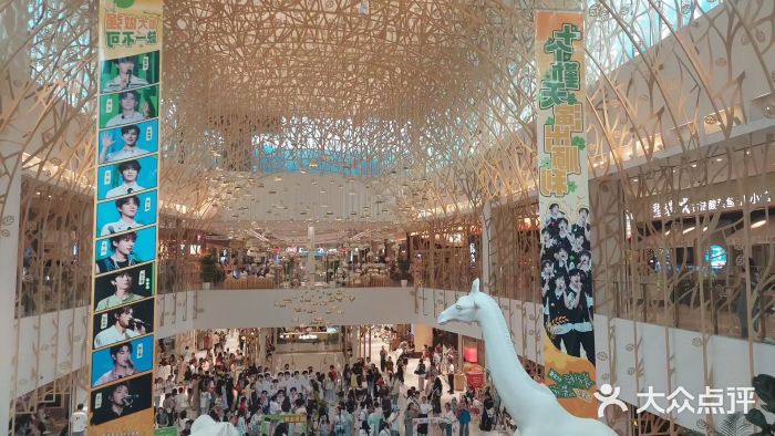 梦之蓝青奥体育公园体育馆图片