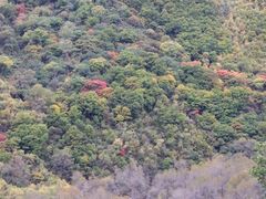 -叠溪松坪沟景区