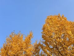 -月湖风景区