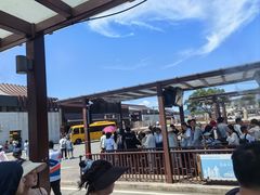 -普陀山风景名胜区-法雨禅寺