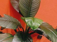 -正德楼果木烤鸭·渔家菜(东港店)