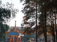 -金砂公园