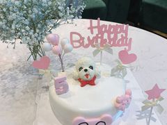 -BABYDOG宝贝狗宠物乐园(欧洲城店)