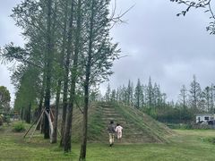 -前小桔亲子创意农场·草莓采摘·露营烧烤