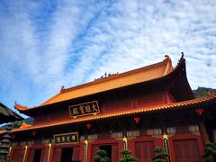 -深圳仙湖植物园