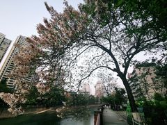 -红星桥(地铁站)