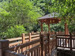 -广州白江湖森林公园