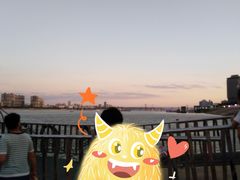 -武汉关码头(轮渡站)