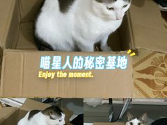 -深圳野生动物园