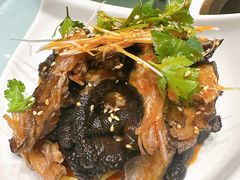 -天宜隆蘑菇宴火锅(石景山旗舰店)
