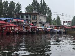 -白洋淀景区