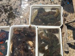 -青岛第三海水浴场